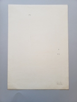 4251.jpg